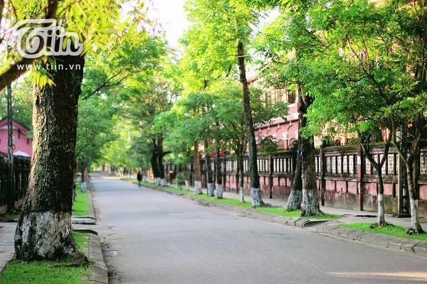 Tin Tin Hue Hostel Bagian luar foto